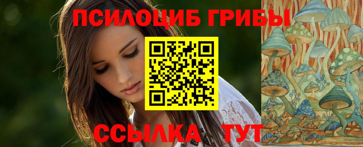 Пугачёв  где найти   Вход с VPN  Псилоцибиновые грибы мухоморы 