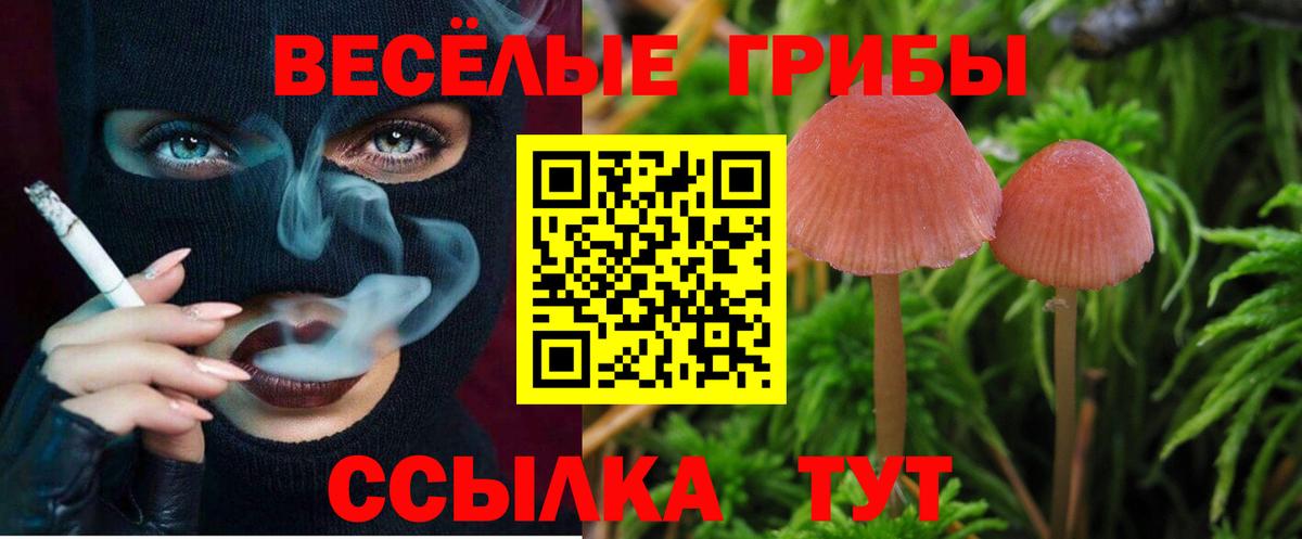 Псилоцибиновые грибы MAGIC MUSHROOMS Пугачёв