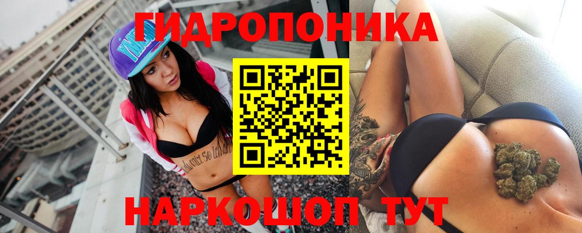 Шишки марихуана OG Kush Пугачёв